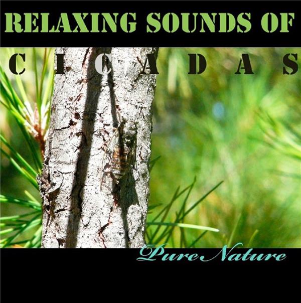 Musique relaxante avec le chant des cigales - Pure nature : Julien Nègre -  Compilations - ambiance - Genres musicaux