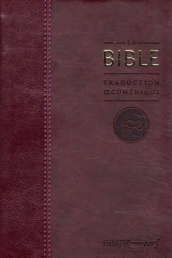 media/pim/TITELIVE/6_9782204094146_1_75.jpg