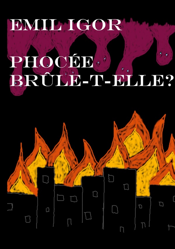 media/pim/TITELIVE/6_9782322655984_1_75.jpg