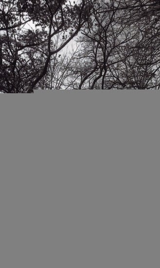 media/pim/TITELIVE/6_9782350212500_1_75.jpg