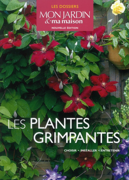 Les plantes grimpantes sont des plantes faciles à entretenir et peuvent  donner une véritable métamorphose au jardin. - FloraStore