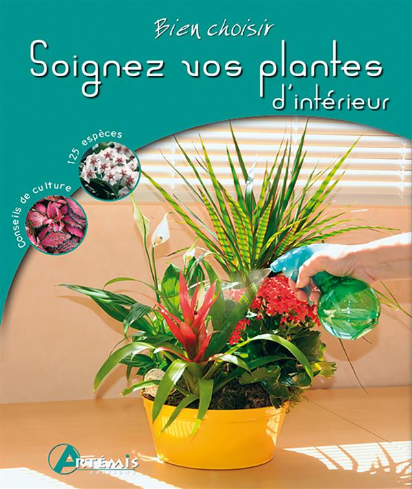 Bien choisir vos plantes d'intérieur