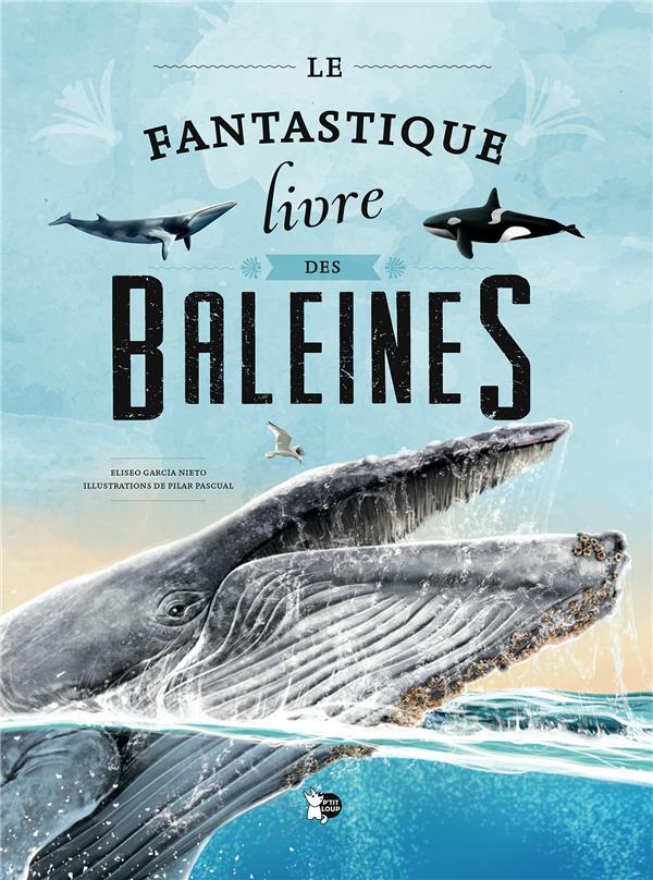 Livre Les Zorientales – Une Aventure Des Enfants De La Baleine Blanche, 2004, édition Française Illustrée