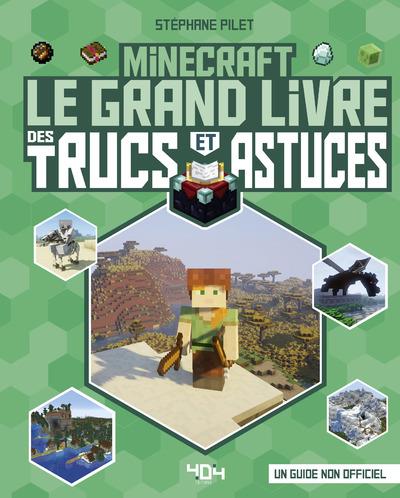 Minecraft - Le grand livre des trucs et astuces - Spécial Biomes - Guide de  jeux vidéo - Dès 8 ans