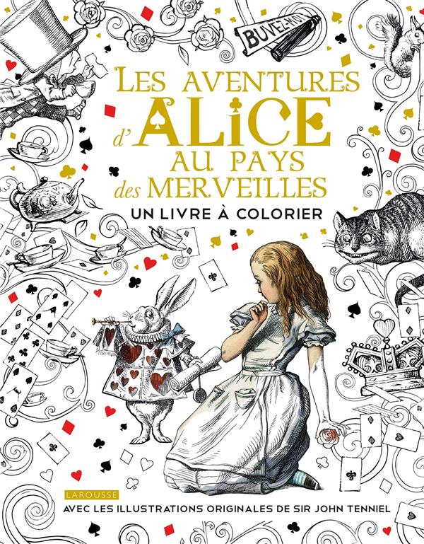 DES MERVEILLES D'HIVER Livre de book by Adult Coloring Books