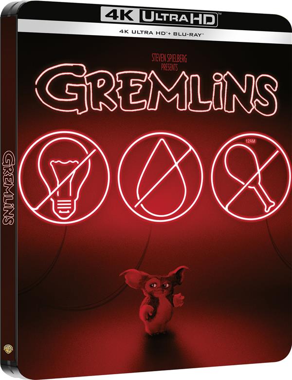 Gremlins : une série animée en préparation !