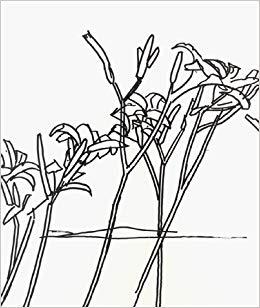 media/pim/TITELIVE/76_9780935875171_1_75.jpg
