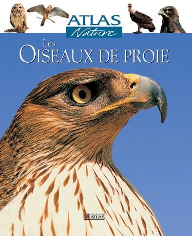 media/pim/TITELIVE/76_9782723437998_1_75.jpg