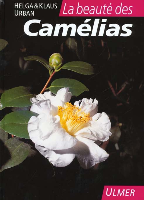 media/pim/TITELIVE/79_9782841380541_1_75.jpg