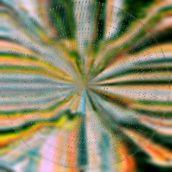 media/pim/TITELIVE/80_0199538248807.jpg