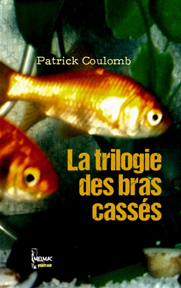 media/pim/TITELIVE/80_9782492759185_1_75.jpg