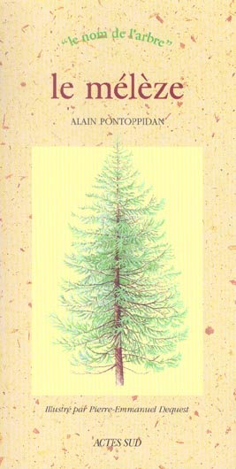 media/pim/TITELIVE/80_9782742742189_1_75.jpg