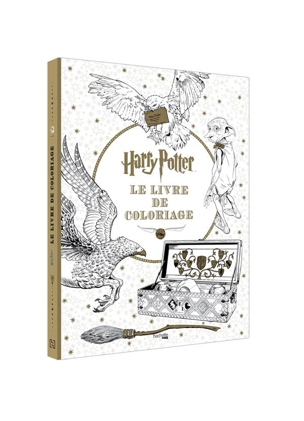 Meilleurs coloriage Harry Potter pour les enfants