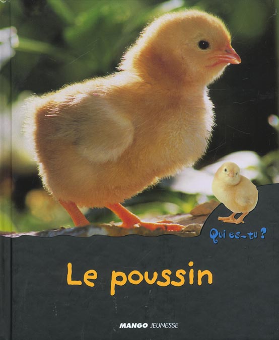 media/pim/TITELIVE/83_9782740414163_1_75.jpg