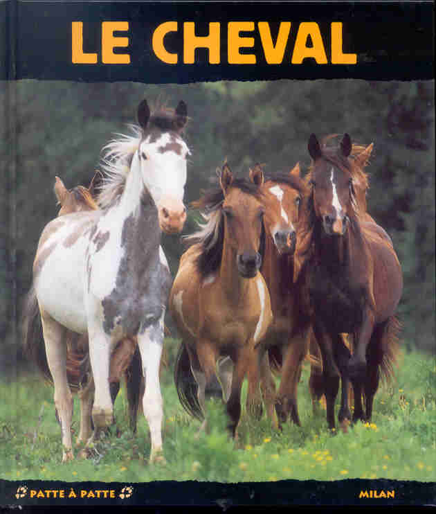 media/pim/TITELIVE/8_9782745905987_1_75.jpg