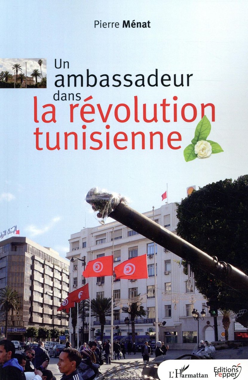 media/pim/TITELIVE/9_9782343076041_1_75.jpg