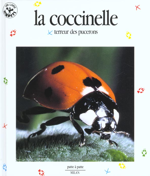 La coccinelle terreur des pucerons Cecile Duval 2867263980