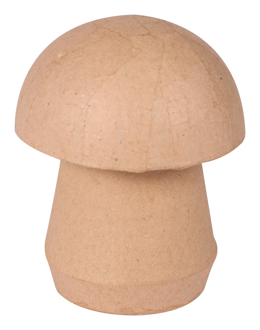 media/pim/boite-champignon-3609510100650_1.JPG