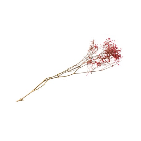 media/pim/bouquet-gypso-rose-sechees-3700091793092_0.jpg
