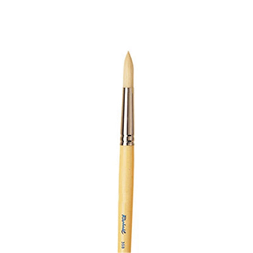 media/pim/brosse-cambree-rond-16-brosse-cambree-rond-16-3046450035718_0.jpg