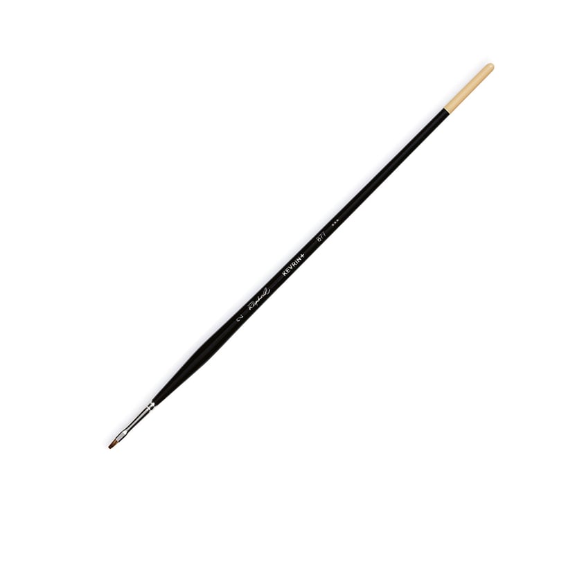 media/pim/brosse-kevrin-plat-2-brosse-kevrin-plat-2-3046450054863_0.jpg