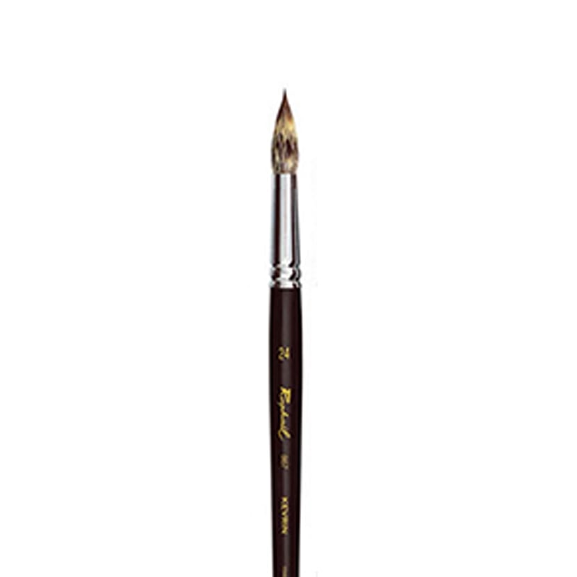 media/pim/brosse-kevrin-rond24-brosse-kevrin-rond24-3046450052470_0.jpg