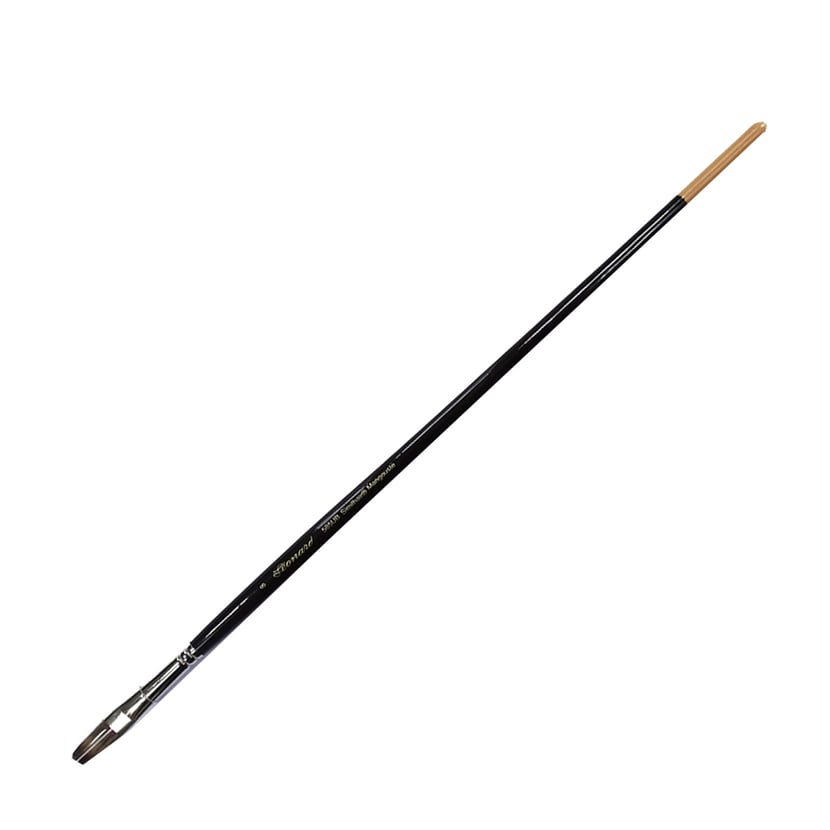 media/pim/brosse-synt-mangoust-plat-ub10-brosse-synt-mangoust-plat-ub10-3660599045522_0.jpg
