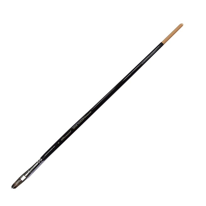 media/pim/brosse-synt-mangoust-plat-ub12-brosse-synt-mangoust-plat-ub12-3660599045539_0.jpg