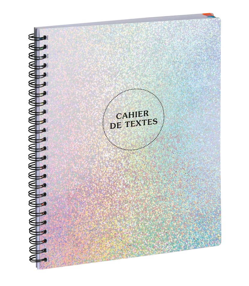 media/pim/cahier-de-texte-holographique-ass-3660942064125_0.jpg