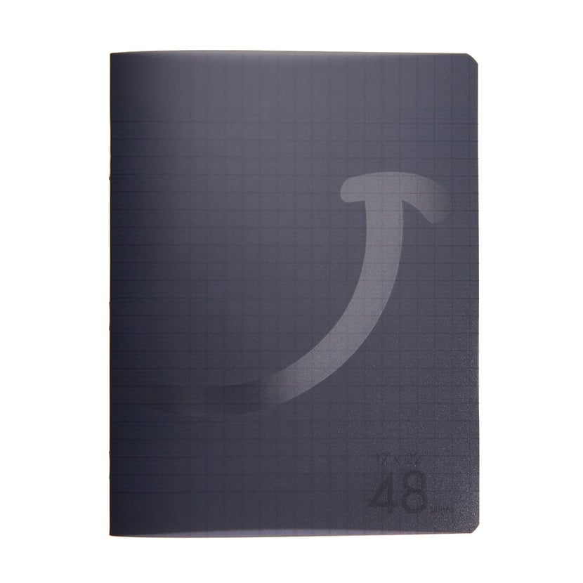 media/pim/cahier-pp-17x22-48p-seyes-gris-2001000275380_0.jpg