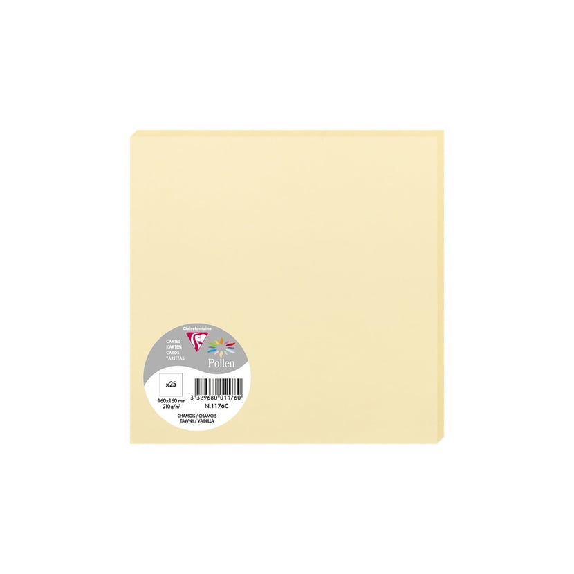 media/pim/carte-160x160-chamois-pqt-25-carte-160x160-chamois-pqt-25-3329680011760_0.jpg