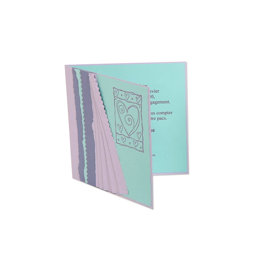 media/pim/carte-pliee-135x135-cassis-pqt-25-carte-pliee-135x135-cassis-pqt-25-3329680128215_21.jpg