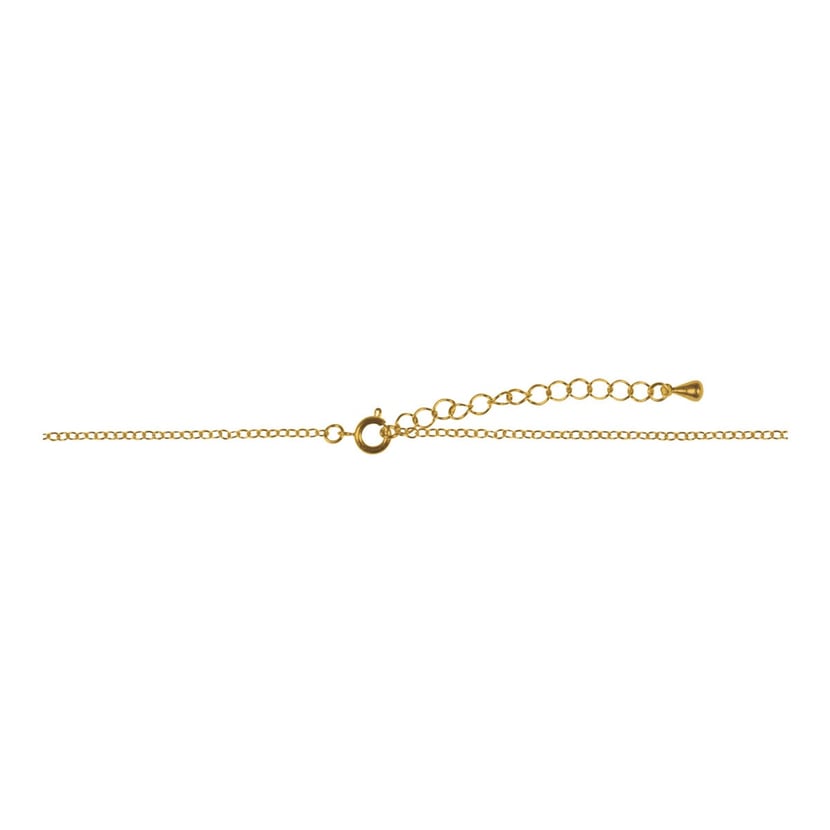 media/pim/collier-chiane-dore-2-mm-d-chaine-a-maillons-metal-av-fermoir-2mm-4006166284410_0.jpg