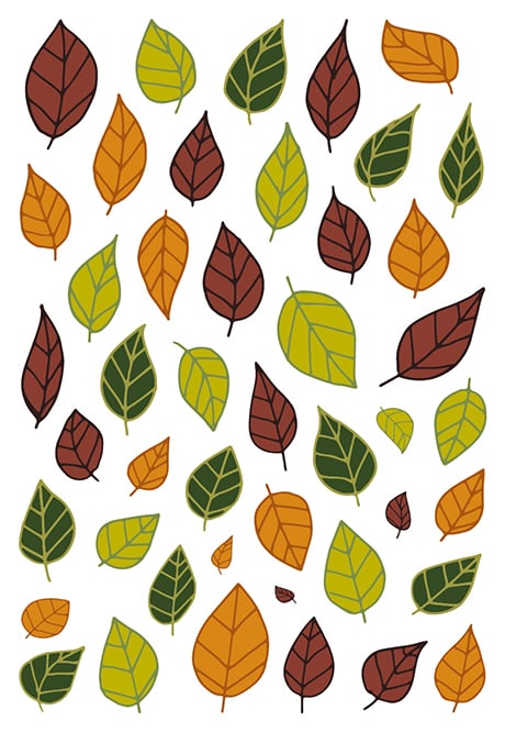 media/pim/decoraty-feuilles-3609510911423_0.jpg
