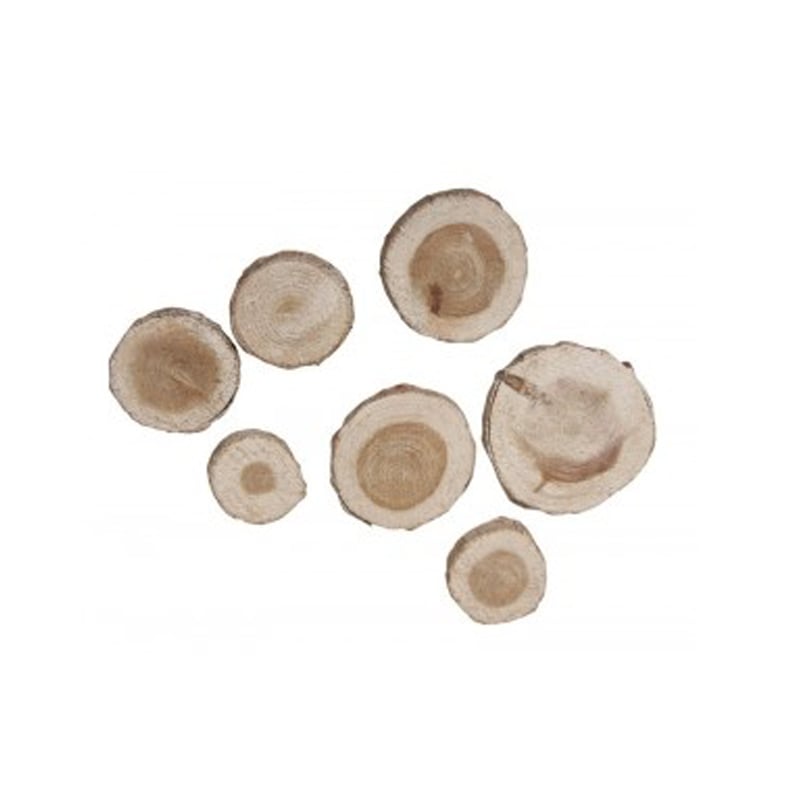 media/pim/disques-de-bois-ronds-3-5cm-4006166190889_0.jpeg