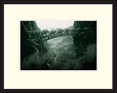 media/pim/elephants-cadre-40x50-3700425601932_0.jpg