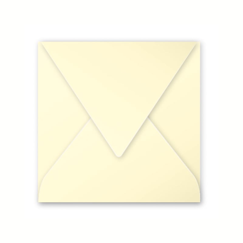 media/pim/enveloppe-pollen-140x140-120g-enveloppe-pollen-140x140-120g-x20-canari-2001118637001_0.jpg