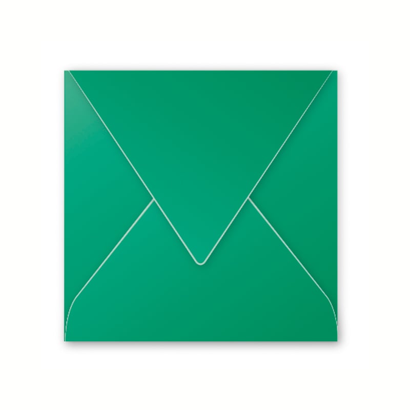 media/pim/enveloppe-pollen-140x140-120g-enveloppe-pollen-140x140-120g-x20-sapin-3329680580808_0.jpg