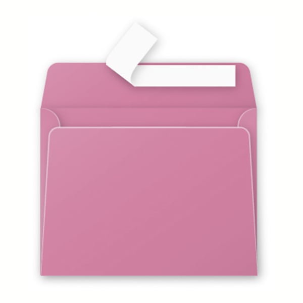 media/pim/enveloppe-pollen-90x140-120g-x-enveloppe-pollen-90x140-120g-x20-rose-ho-3329680556513_0.jpg