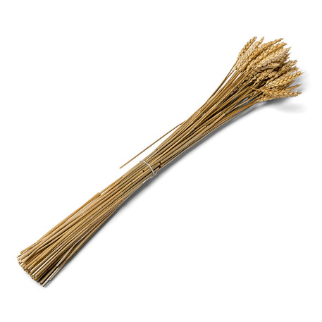 media/pim/epis-de-ble-naturel-seche-3700091767925_0.jpg