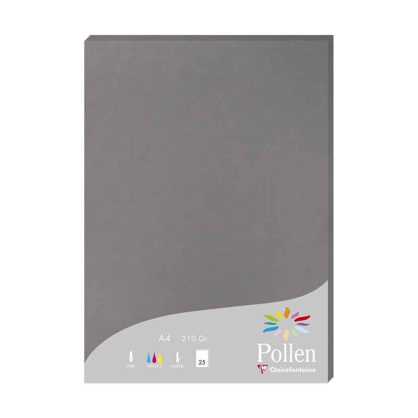 media/pim/etui-25f-210x297-gris-acier-210g-etui-25f-210x297-gris-acier-210g-3329680242836_0.jpg