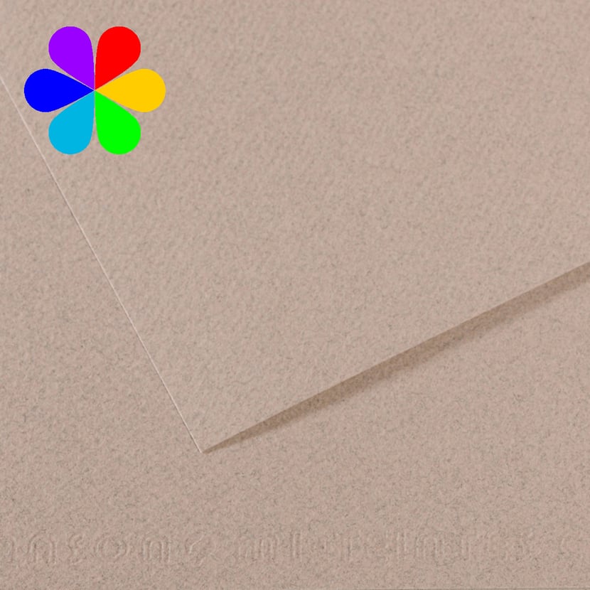 media/pim/feuille-mi-teinte-160g-a4-gris-feuille-mi-teinte-160g-a4-gris-clair-426-3148953316681_0.jpg