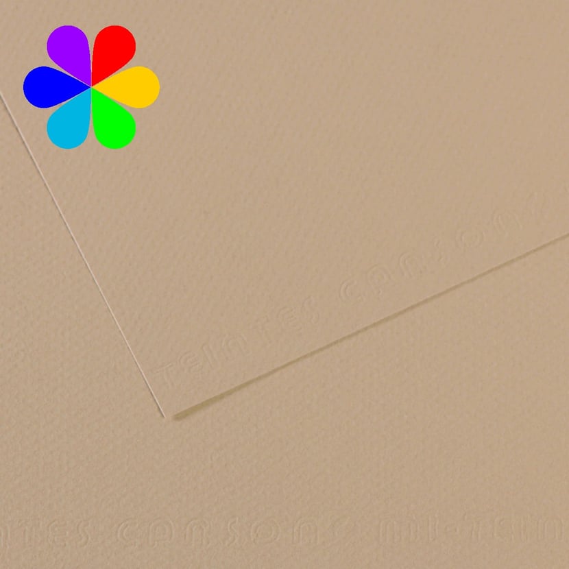 media/pim/feuille-mi-teinte-160g-a4-gris-feuille-mi-teinte-160g-a4-gris-trianon-3-3148953216585_0.jpg
