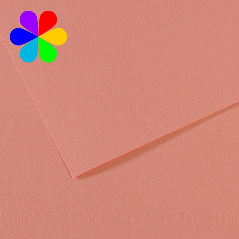 Papier uni 50x70 cm 'Canson - Colorline' Noir 220gr/m² - La Fourmi