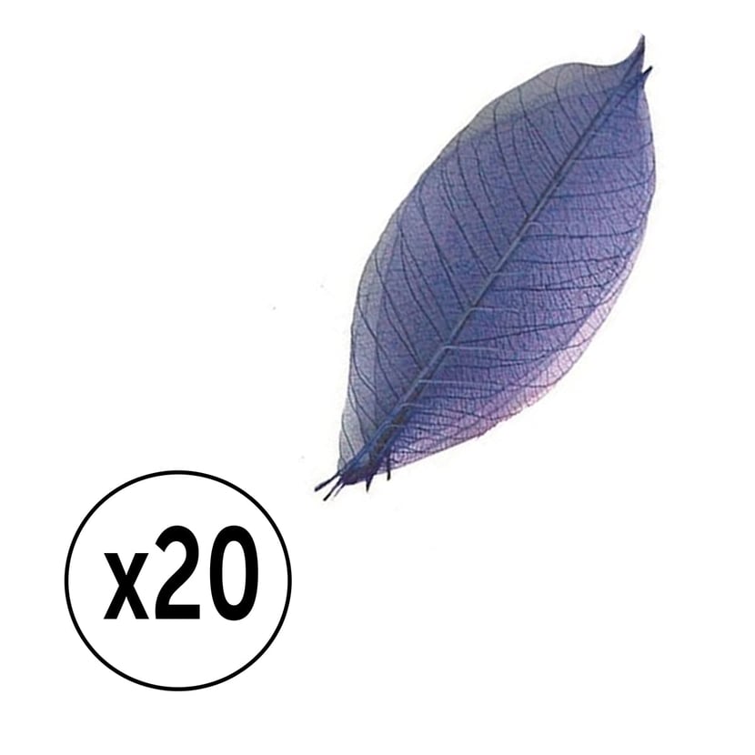 media/pim/feuilles-sechees-bleu-pqt-20-feuilles-8cm-bleu-3532436607234_0.jpg