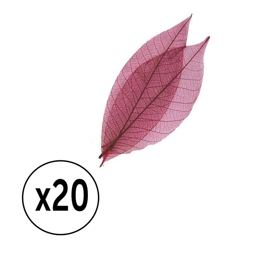 media/pim/feuilles-sechees-rouge-pqt-20-feuilles-8cm-rouge-3532436607227_0.jpg