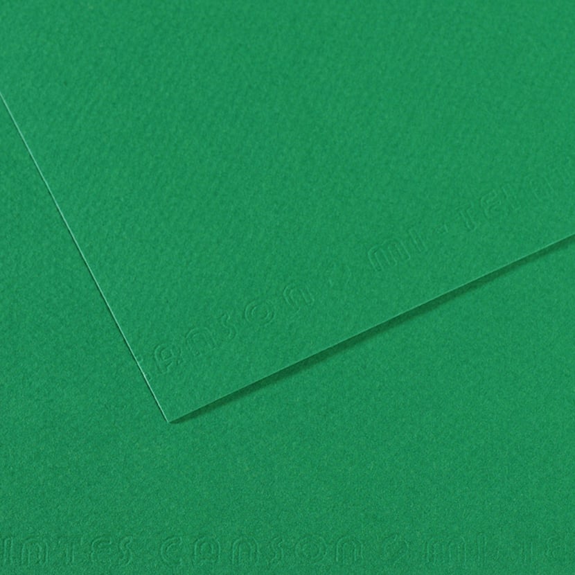 media/pim/fle-mi-teinte-160g-75x110-vert-fle-mi-teinte-160g-75x110-vert-brillant-3148953212372_0.jpg