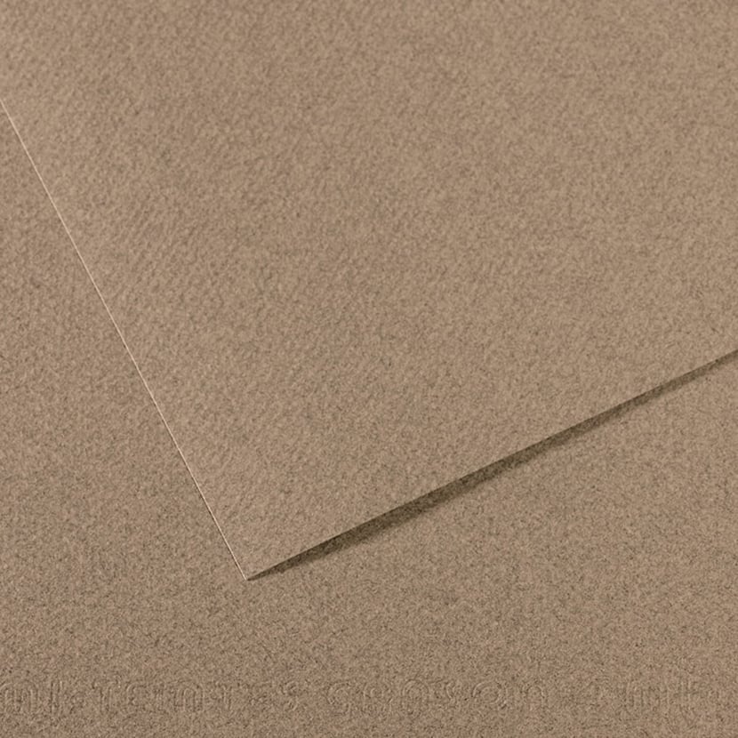 media/pim/fle-mi-teinte-50x65-160g-gris-fle-mi-teinte-50x65-160g-gris-3148953314441_0.jpg