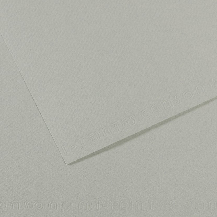 Canson Mi-Teintes - papier coloré 160g/m² - feuille 50x65cm