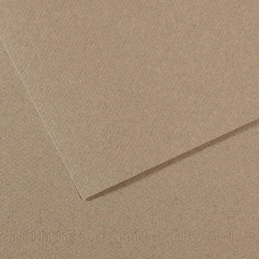 media/pim/fle-mi-teinte-50x65-160g-gris-fle-mi-teinte-50x65-160g-gris-fumee-3148953314342_0.jpg